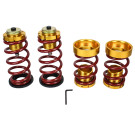 Honda Civic 06-11 Lowering Spring with Hi-Low Sleeve Kit, Red and Gold